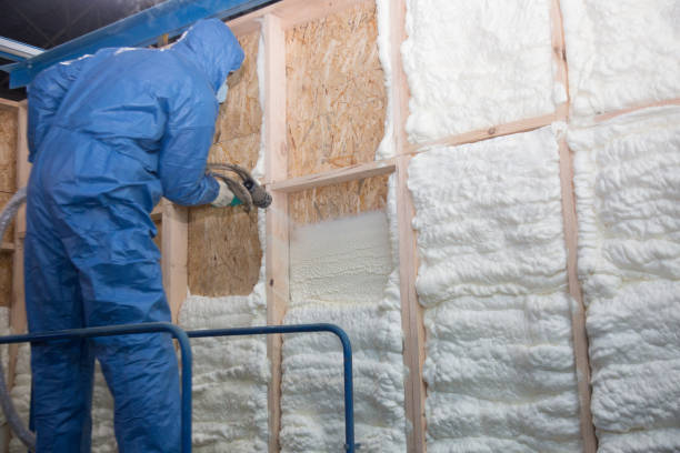 Eco-Friendly or Green Insulation Solutions in Southworth, WA